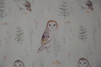 Jersey Eulen / Owls natur